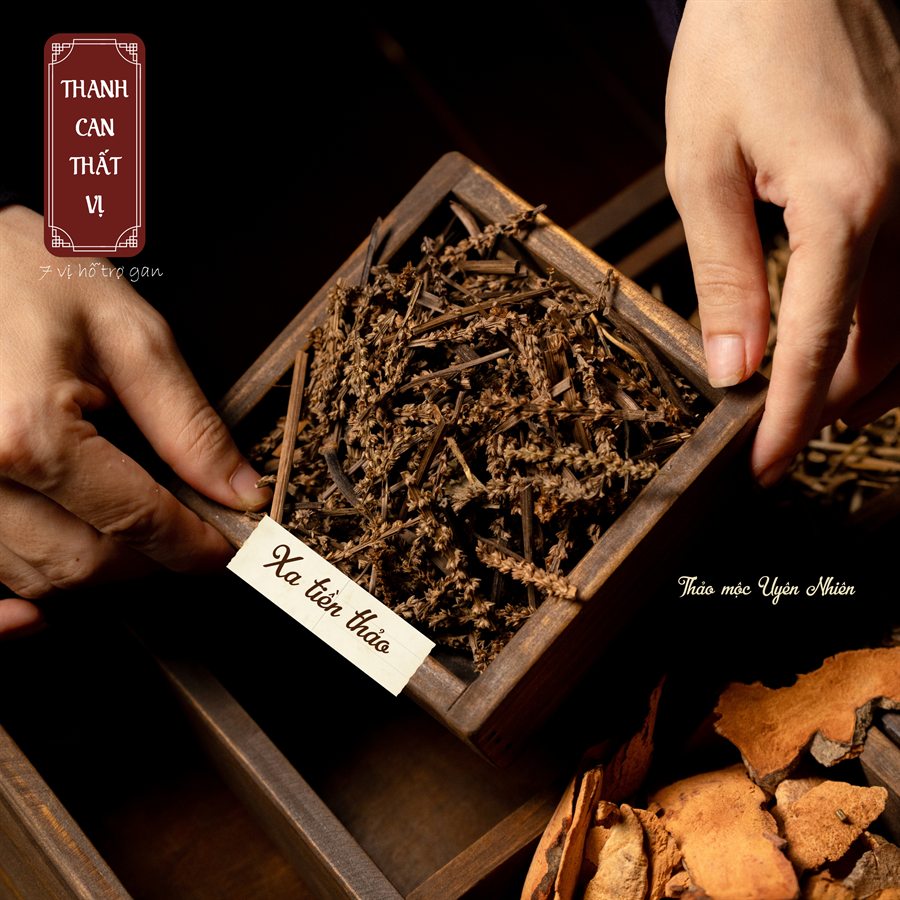 Xa tiền thảo